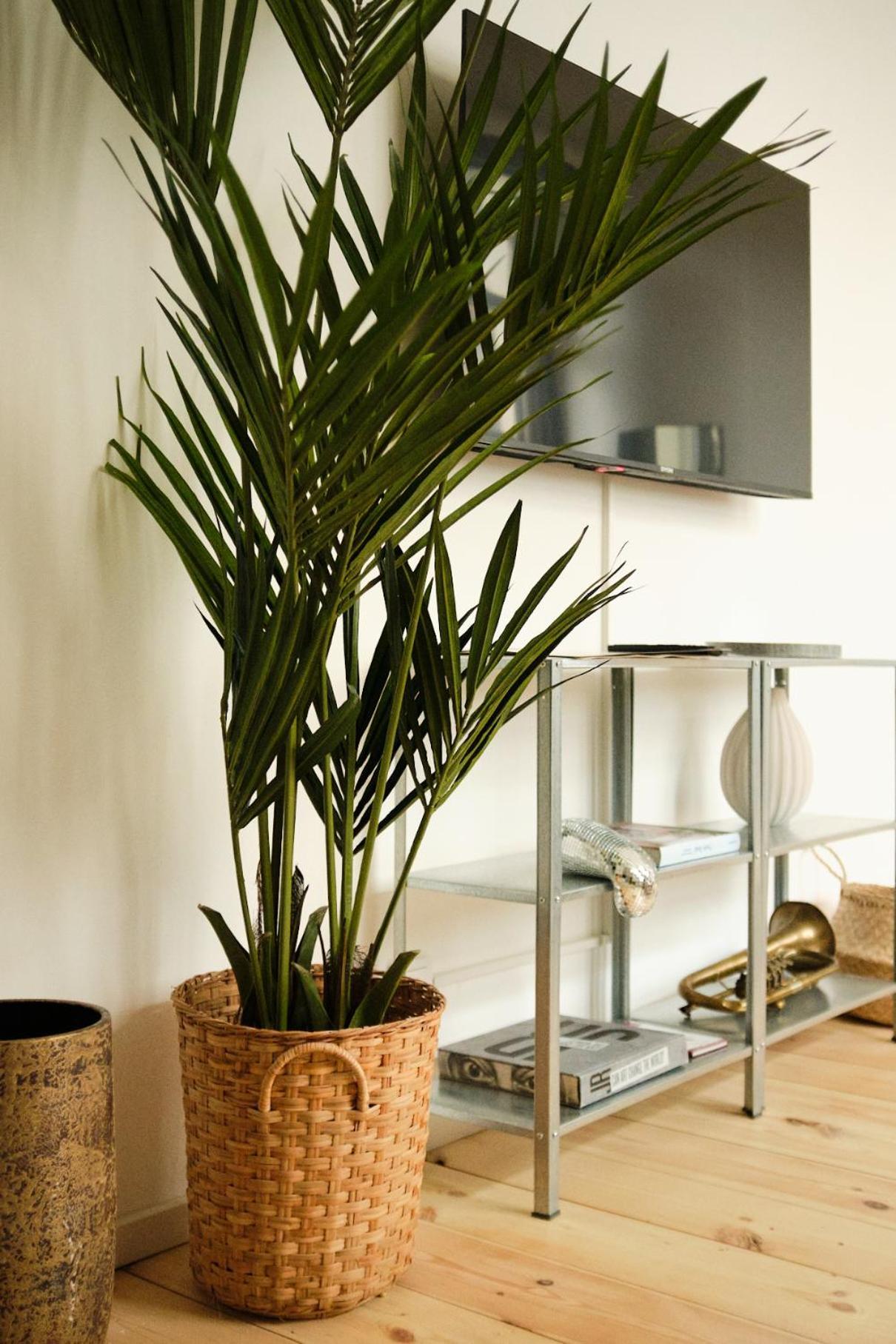 Modern Design 75sq In Mitte Appartement Berlijn